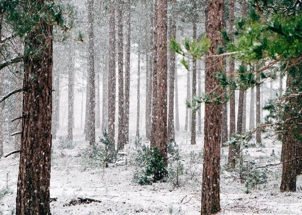 #36. ‘Winter Wonderland’ by Richard Himber & His Orchestra feat. Joey Nash